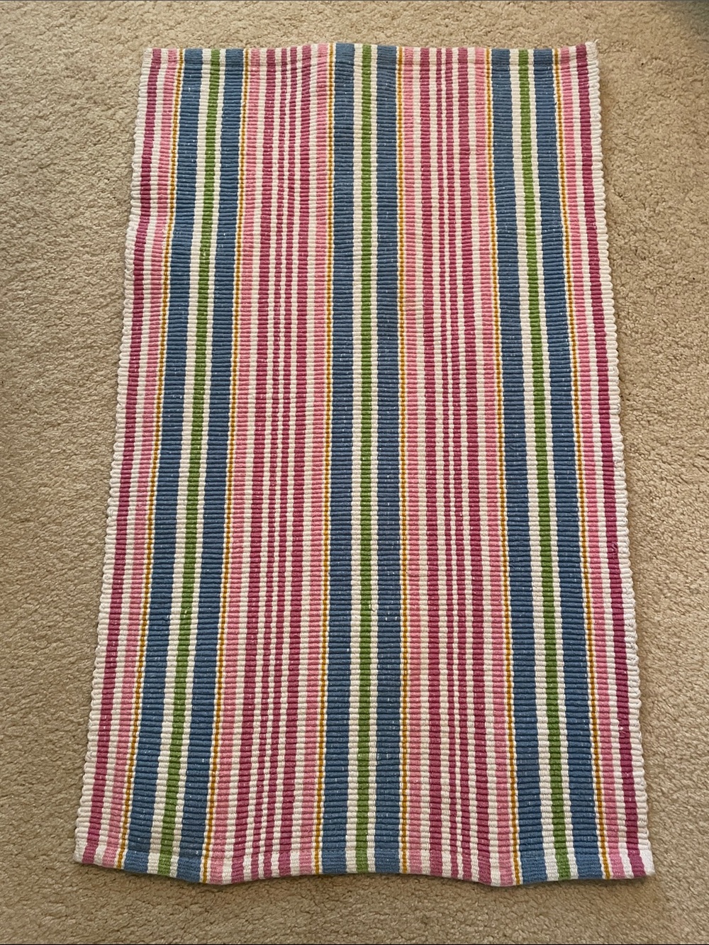 Pottery Barn Kids Accent Rug